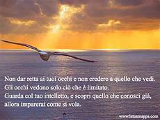 gabbiano jonathan livingston frasi il gabbiano jonathan livingston gabbiano jonathan livingston frasi il gabbiano jonathan livingston