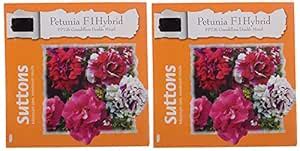 Suttons Sutton Seeds Petunia F1 Hybrid Grandiflora Double Mix Flower ...