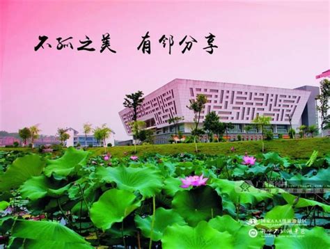 【喜讯】南宁学院获批3个本科新专业-南宁学院