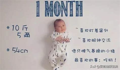 1到12月婴儿发育过程图 12张图让你了解宝宝每个月的成长变化_发展
