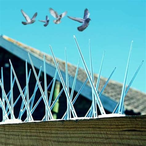 HASTHIP® 10Pcs 30cm Bird Repellent for Balcony, Silver Reflective ...