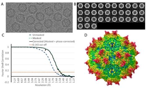 Adeno-Associated Virus (AAV-DJ)—Cryo-EM Structure at 1.56 Å Resolution