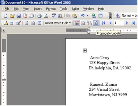 Mail Merge Labels 的图像结果