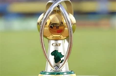 Image result for Can You Eat Python's