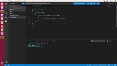 vs Code .Net 的图像结果