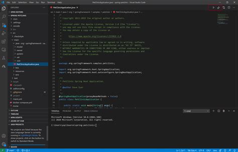 Image result for How to Give Input in Visual Studio Code Java