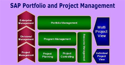 Image result for PPM SAP Structure Portfolio