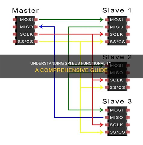 SPI Bus Tutorial 的图像结果