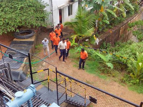 Buy Green Energy from Soham Renewables | Tree Plantation