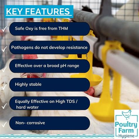 POULTRY DISINFECTANTS AND FEED SUPPLEMENTS - Poultry On bird spray ...