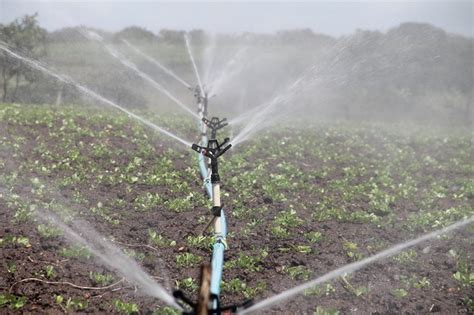 Surface Irrigation Methods - Advantages and Disadvantages