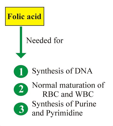 Image result for Folate Folic Acid