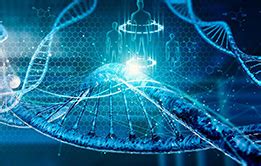 Application of Genetic Engineering 的图像结果