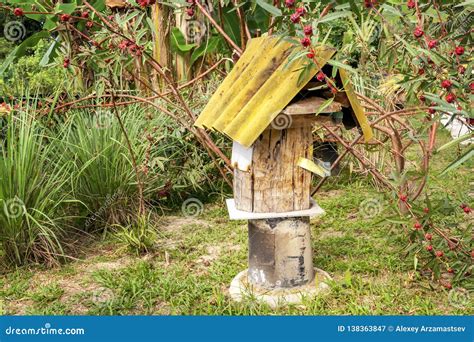 Bee Farm - Apiary with Beehives from Old Stumps for Black Bees - Carpenters Genus Xylocopa Stock ...