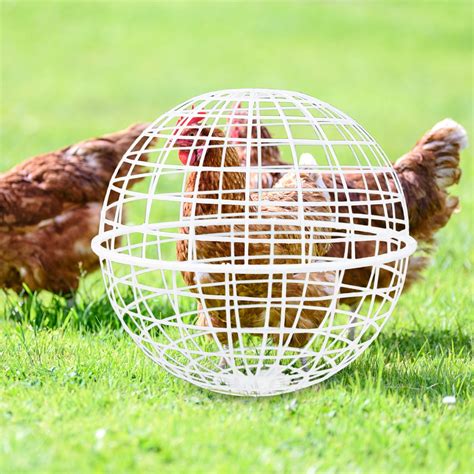 UYYpdK Portable Chicken Cage - Spherical Plastic Poultry India | Ubuy