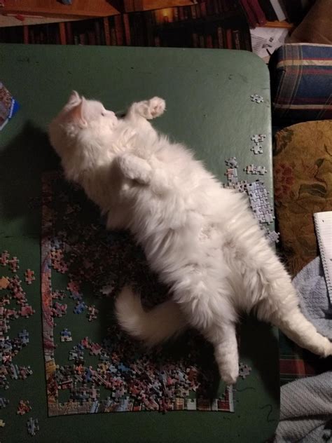 If you want to do the puzzle, you'll have to go through me first....and ...