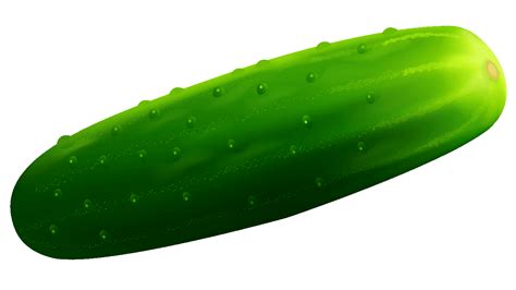 Pickle Cartoon Png