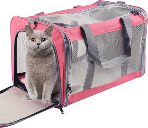 Amazon Cat Bag Carrier at Alfred Ma blog
