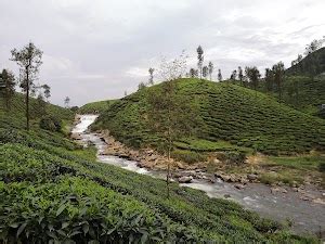 What to see in Valparai (Updated Sep 2024)