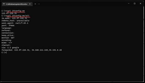 How to Find Public IP Address of PC Using Cmd 的图像结果