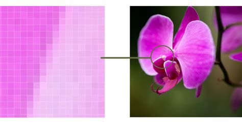 How to Find Bit Depth of Image 的图像结果