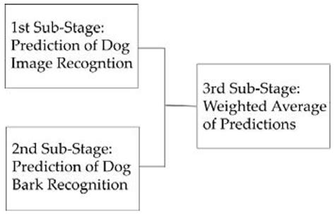 Affective Recommender System for Pet Social Network