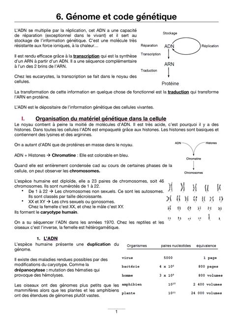 Image result for Code Genetique Exercice