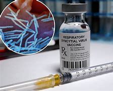 Image result for EU approves first RSV vaccine