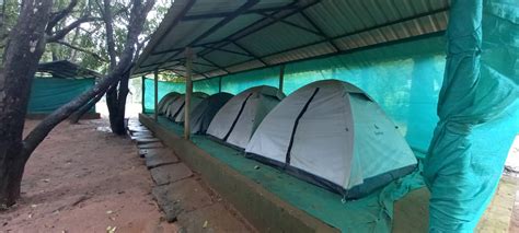 Wild Wagtail Adventure Resorts -Sakleshpur - Resorts Sakleshpur