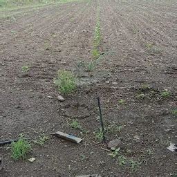 Best Top Rated Farm in Kankot, Gujarat, India | Yappe.in