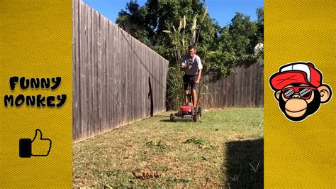 Top Stories Funnies Outside 的图像结果