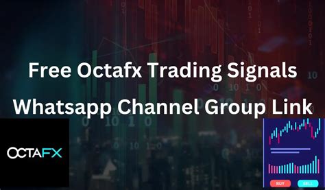 Image result for OctaFX Forex Signals