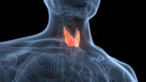 Hypothyroidism (underactive thyroid): Causes, symptoms & treatment | Live Science