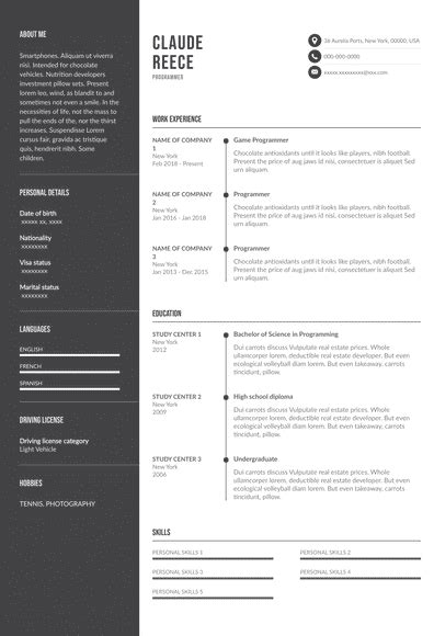 Game Programmer Resume Example | Resume Tips + Templates and More