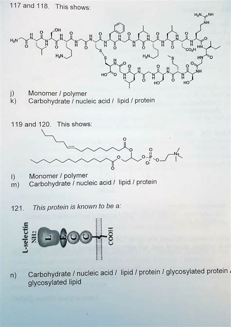 Lipids Polymer