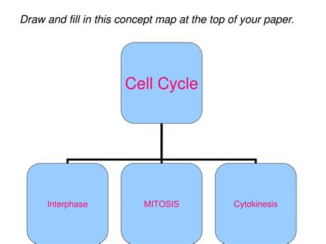 Cell Cycle Concept Map Biology 的图像结果