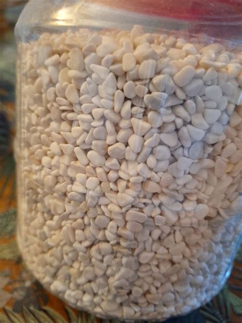 Image result for Fish Tank Pebbles