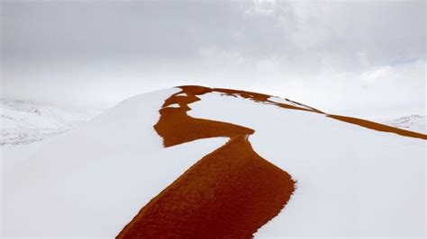 Sahara Desert Hit By A Mighty Snowfall & A Meter Thick Snow Looks ...