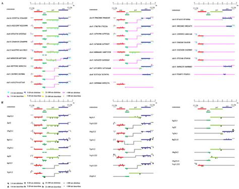 Comprehensive Identification and Characterization of HML-9 Group in ...