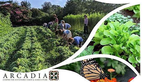 Arcadia Open Volunteer Saturday November 2025, Woodlawn & Arcadia Farm ...