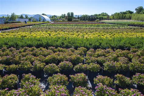 Nursery | Idaho Preferred