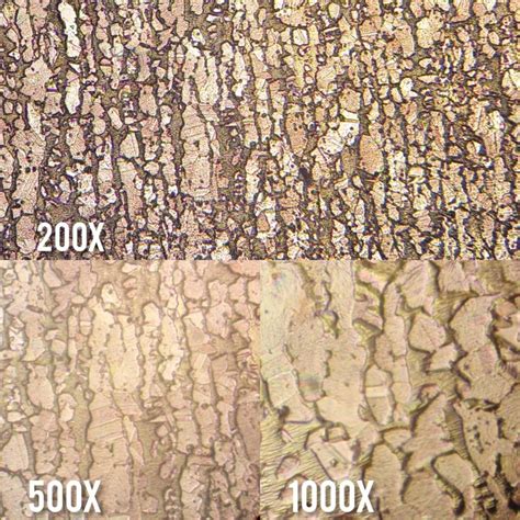 Image result for Engineering Science Microstructure of Metals