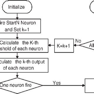 Image result for BSPT Course