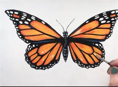 Image result for Acrylic Butterfly Tutorial