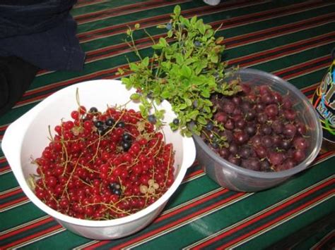 THE BEST Places to Visit in Karstula (2026) - Must-See Attractions