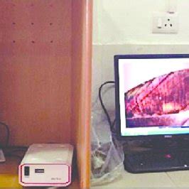 Polarizing Light Microscope 的图像结果