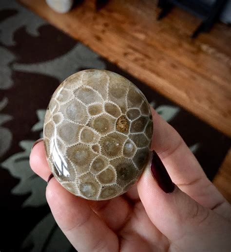 Beautifully Hand Polished Petoskey Stone!!