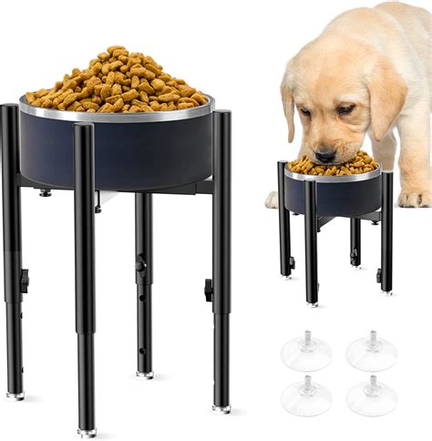 Raised Dog Food And Water Bowl at Tracy Dibenedetto blog