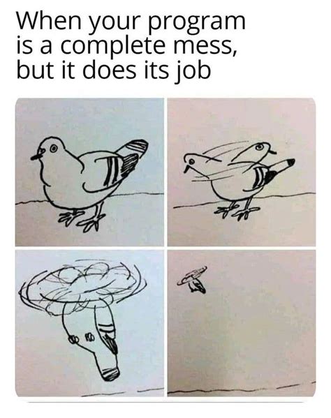 Dani Coding 的图像结果