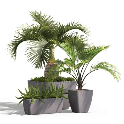 BIM objects - Free download! Downtown Rectangle & Square Planters ...